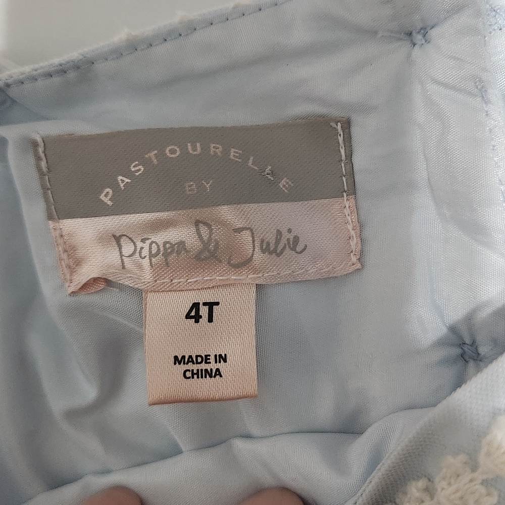 Pastourelle by Pippa & Julie Swiss Dot Empire Waist Embroidered Princess Dress 4 - Picture 2 of 15